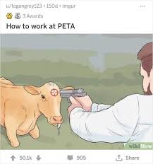 The tops of the a shapes should be pointing straight up. 45 Out Of Context Wikihow Captions You Ll Feel Guilty For Laughing At Bored Panda