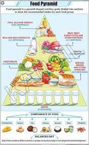 Food Pyramid For General Chart