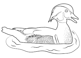 On this page, there are various motifs on the subject of animals for printing and coloring. Nps Gov