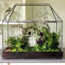 Plant A Beautiful Terrarium Beautiful Terrariums Garden Terrarium Terrarium Plants