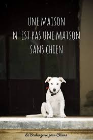 Citations Sur Les Chiens Citation Chien Chien Citation Animaux