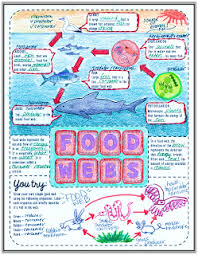 Doodle Notes The Morehouse Magic Doodle Notes Doodle Notes Science Science Doodles