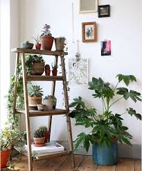 Plant Corner Indoor Gardens Plant Decor Interior