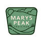 Marys Peak Trail Run event image