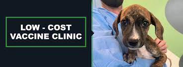 You can also come to the shelter or visit our mobile adoption center and apply for your new pet in person. Low Cost Vaccine Clinic Tulsa Spcatulsa Spca