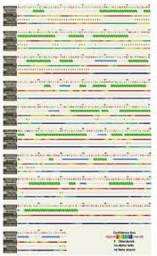 Three-dimensional (3D) structure prediction of the American and African  oil-palms β-ketoacyl-[ACP] synthase-II protein by comparative modelling