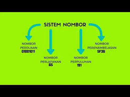 Ask Ting 2 Perwakilan Data Youtube