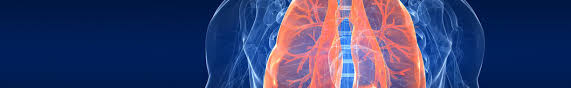 Entdecke alle anzeigen für assistenzarzt innere medizin jobs! Lungenarzt Dr Herden Freising Pneumologie Freising
