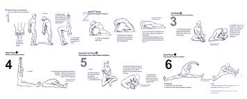 Méridien du poumon | khalifeh seminars / the large intestine (the colon) stores and excretes waste. Makko Ho Meridian Stretches Metaholistico