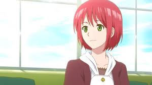 If you are a true anime fan then you must have heard about the show akagami no shirayukihime which is also pronounced in english as snow white with the red hair. A Critical Perspective On Akagami No Shirayuki Hime Season 1 The Limitless Imagination