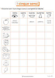 I Cinque Sensi Schede Didattiche Per La Classe Prima Lezioni Di Scienze Scienza Per Bambini Schede Didattiche