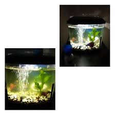 Api Algaefix, 4 Oz. | Petco