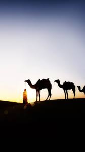 Below we create default camel context and load the route created in simpleroutebuilder. Camel At Sunset Wallpaper For Iphone 6 Plus