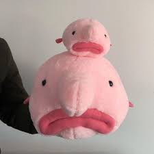 Geschäftliche e mail schreiben muster pdf. Suss Gefullte Blobfish Plusch Mini Tiere Geschenke Spielzeug Hobbys Kinder Gunstig Im Onlineshop Von Joom Kaufen