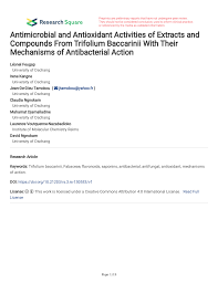 Image result for Trifolium baccarinii