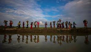 Located on the bay of bengal. After Humanitarianism Bangladesh S Evolving Rohingya Policy