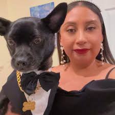 Has anyone used apoquel for their chihuahuas allergies