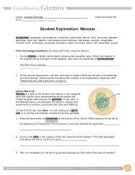 Compare meiosis in male and female germ cells, and use crossovers to increase the number of possible gamete genotypes. Meiosis Gizmo Pdf Bio Studocu