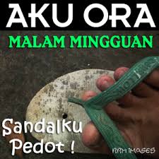 73 Gambar Lucu Jowo Kekinian Gambar Pixabay