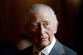 Pinkberry yogurt chain co-founder gets seven years in beating case