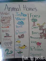 Fun In Prek 1 A Picture Palooza Of Animal Homes Life Cycles Forest Animals Preschool Kindergarten Science Preschool Science