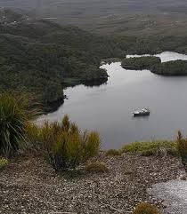 Exclusive Fiordland Cruise Real Journeys Cruise Trip Advisor Milford