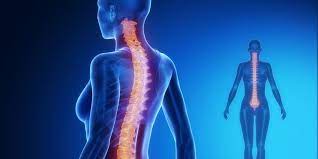 Check spelling or type a new query. 8 Macam Kelainan Pada Tulang Manusia Yang Perlu Diwaspadai Halaman All Kompas Com