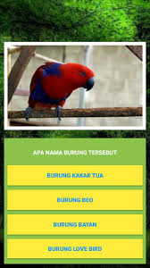 Game tebak nama hewan ini kami sajikan secara gratis dan gamenya sangat simple namun sangat menyenangkan. Kuis Tebak Nama Hewan For Android Apk Download
