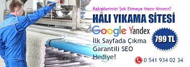 hali yikama sitesi web tasarim internet sitesi 799 tl web tasarim web sitesi halilar