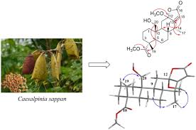 Image result for Caesalpinia sappan