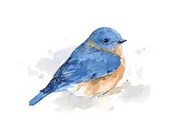 Just a quick study from a photo. Pin On Watercolor Ideas