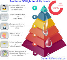 How To Lower Humidity In House Family Safe Humidity Control