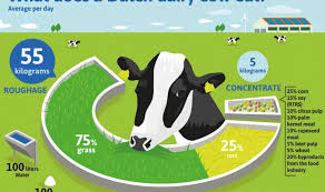 Check spelling or type a new query. Dutch Dairy The First To Transition To 100 Responsible Soy Nederlandse Zuivel Organisatie