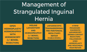 Image result for Hernia Reduction