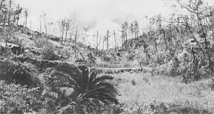 Learn why imperial japan built a network of defensive lines, bunkers and fortifications across the island of okinawa. Kakazu Hacksaw Ridge Conical Hill And Love Hill Okinawarelics