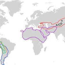 There are two types of camels: Pdf Camelids New Players In The International Animal Production Context