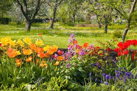 Todos für den start in die neue gartensaison. Blumen Vor Obstgarten Garten Im Fruhling Lizenzfreie Fotos Bilder Und Stock Fotografie Image 13110876