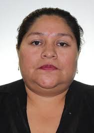 Propiedades de Otorongos Elecciones 2022