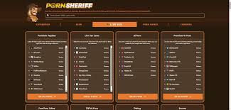 국산 야동 2025년 최고 순위