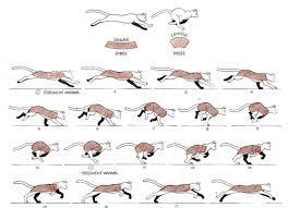 Deviantart is the world's largest online social community for artists and art enthusiasts, allowing people to connect through the creation and sharing of art. Cat Running Drawing Running Drawing Cat Drawing Tutorial Cat Sketch