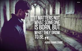 We present you our collection of desktop wallpaper theme: Harry Potter Quotes Wallpapers 56 Pictures