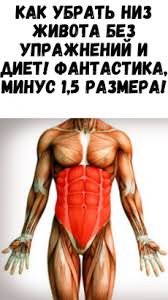 6 типов ожирения и как справиться с каждым из них Zhenskij Zhurnal V 2020 G Uprazhneniya Bystrye Trenirovki Tancevalnye Trenirovki