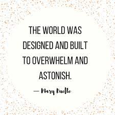 Quotes For When Life Gets Overwhelming