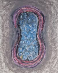 Bildergebnis für Cristiano Lenhardt