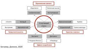 Прогулки и пробежки на свежем воздухе