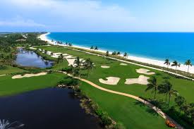 The World S Smartest Bird Lives At South Seas Island Resort World S Best Golf Destinations
