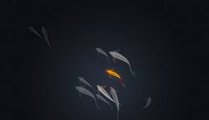 We did not find results for: 1336x768 Koi Fishes Minimal 4k Laptop Hd Hd 4k Wallpapers Images Backgrounds Photos And Pictures