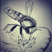 Byczynski and her family have been growing vegetables and cut flowers since 1988, selling through csas, at farmers' markets, to chefs, grocery stores, and florists. Bee And Flower Nature Drawings Pictures Drawings Ideas For Kids Easy And Simple