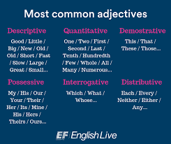 Adjectives give the reader more specific information what is an adjective? Adjectives Order List With Common Adjectives Ef English Live