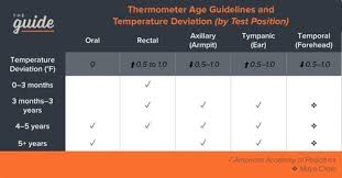 the best thermometers guide com